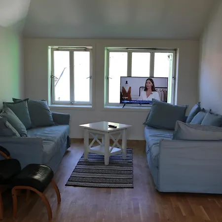 The Green House - Spacious Loft In Center Of Leilighet