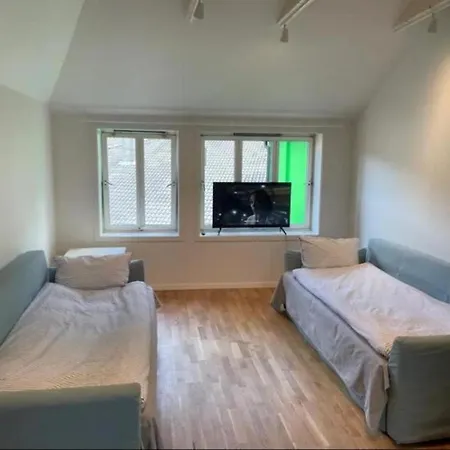 아파트 The Green House - Spacious Loft In Center Of 베르겐
