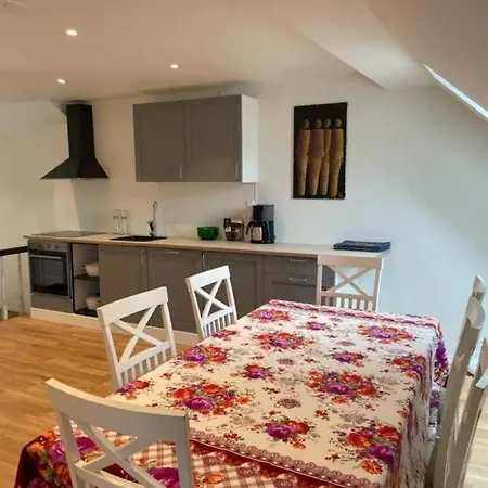 Apartman The Green House - Spacious Loft In Center Of *