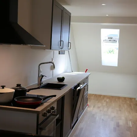 Apartman The Green House - Spacious Loft In Center Of *
