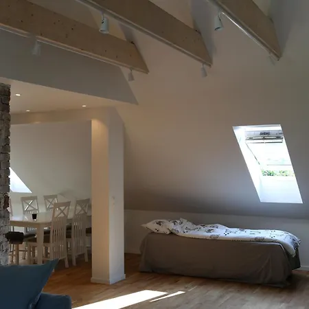 Apartman The Green House - Spacious Loft In Center Of